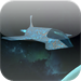 Hyperspace: Battle for Earth