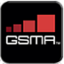 GSMA LA VISION 2012 - 2013
